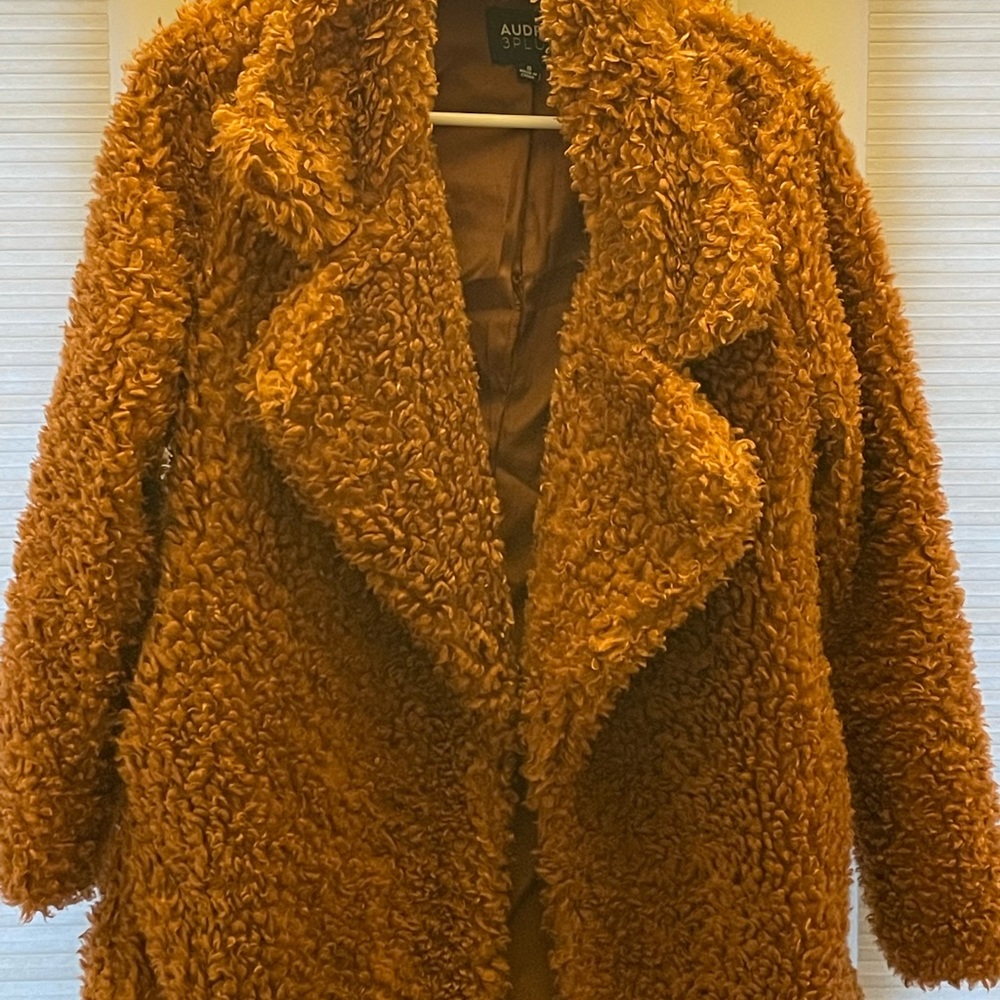 Luxurious Teddy Bear Coat - small